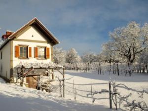 ein kleines Haus auf einem schneebedeckten Feld in der Unterkunft WEINLOFTS Weinloft I in Edlitz im Burgenland