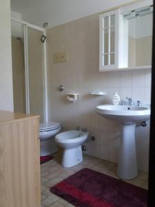 een badkamer met een wastafel en een toilet bij B&B Naquane 2 in Capo di Ponte