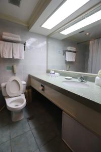 a bathroom with a toilet and a sink and a mirror at Tiara Oriental Hotel in Manila