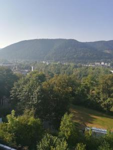 a view of a valley with trees and mountains at Ferienwohnung am Weinberg in Bad Ems