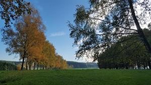 Foto da galeria de Appartement Am Hohenbusch em Burg-Reuland