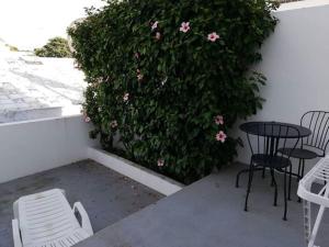 a patio with tables and chairs and a bush with pink flowers at AZORES PEDRA APARTMENTS - T0 e T1 in Ponta Delgada
