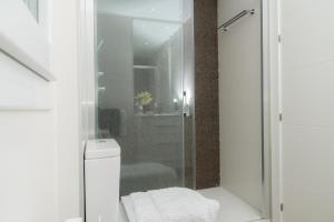 グラナダにあるtuGuest Pedro Antonio Apartmentのバスルーム(トイレ、ガラス張りのシャワー付)