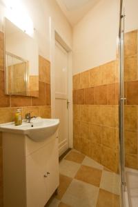 布達佩斯的住宿－河濱城酒店，一间带水槽和淋浴的浴室