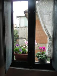 SpinetoliにあるPiccolo Teatro del Pozzoの窓から花の景色を望めます。