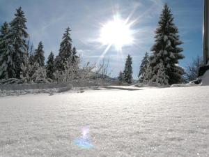 Ferienhaus Hubertus Tirol 1-8 Personen during the winter