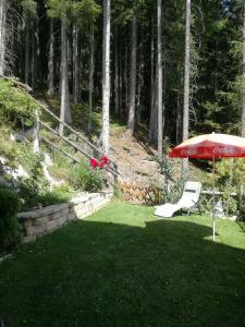 A garden outside Ferienhaus Hubertus Tirol 1-8 Personen