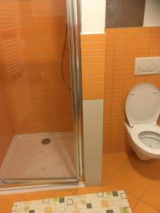 a bathroom with a toilet and a shower at Apartmán 6 Triangel in Donovaly +36 photos