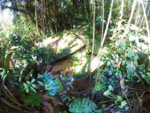 a garden with a rock and some plants and trees at Pousada Guapuruvu in Abraão