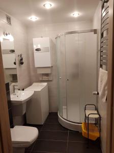 a bathroom with a shower and a toilet and a sink at Apartament Marta in Polanica-Zdrój