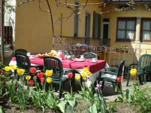 A garden outside Casa Mario Lupo - Apartments and Rooms