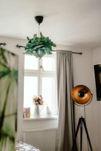 Fotografie z fotogalerie ubytování Zelný trh 30 v destinaci Brno
