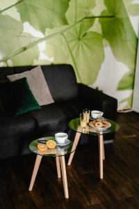 Fotografie z fotogalerie ubytování Zelný trh 30 v destinaci Brno