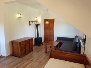 uma sala de estar com um sofá e um fogão a lenha em Vila ANA em Divčibare