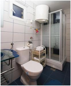 La petite salle de bains est pourvue d'une douche et de toilettes. dans l'établissement Apartments Elvi - amazing position, à Primošten