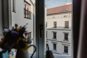 Fotografie z fotogalerie ubytování Zelný trh 30 v destinaci Brno