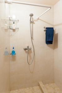 a bathroom with a shower with a blue towel at Vitosha Blvd - Family and Friends Apart in Sofia