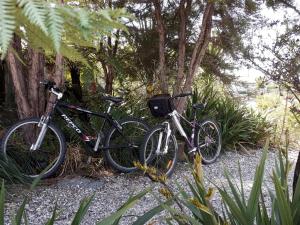 two bikes parked next to each other next to trees at Mapua Studio Quality Accommodation in Mapua