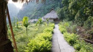 a path leading to a hut in a field at Ninh Binh Valley Homestay in Ninh Binh