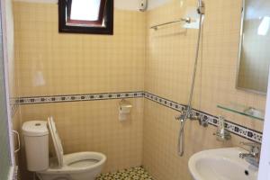een badkamer met een toilet en een wastafel bij Thanh Ha Homestay Sapa in Sa Pa