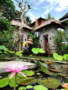 a pink water lily in front of a house at deLodtunduh Villa in Ubud