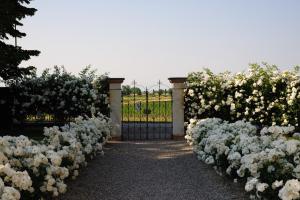 Zahrada ubytování Borgo Dei Conti Della Torre