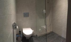 W łazience znajduje się toaleta i przeszklony prysznic. w obiekcie Mountain Chalet Amden w mieście Amden
