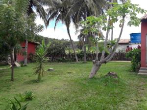 a tree in the yard of a house at Pousada Portal do Peruaçu in Januária