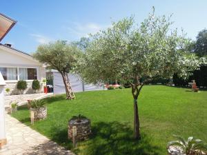 Zahrada ubytování Holiday Home Villa Ivan