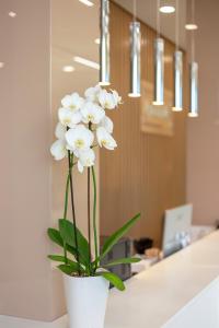 a white flower in a white vase on a counter at ApartUA Кропивницький in Kropyvnytskyi