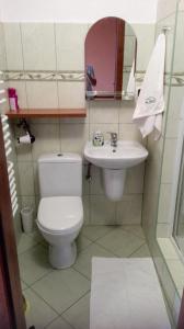 a bathroom with a toilet and a sink at Pokoje Gościnne Pod Wysotą in Wysowa-Zdrój