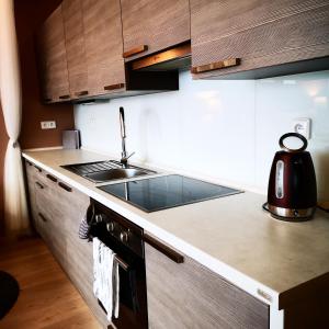 Kuchyň nebo kuchyňský kout v ubytování Brunetti Suite Zlín