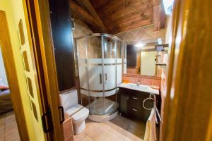 een badkamer met een douche, een toilet en een wastafel bij Casa Torre Mudéjar in Toledo +24 foto's