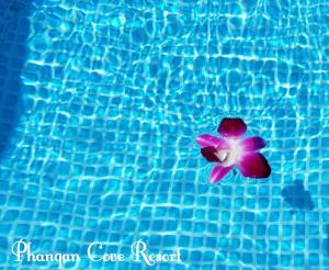 una flor púrpura flotando en un charco de agua en Phangan Cove Beach Resort en Srithanu