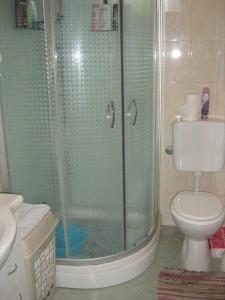 a bathroom with a shower with a toilet and a sink at Apartment in Nin with Terrace, Air conditioning, Wi-Fi (3718-1) in Nin