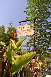 クリッシ・アモウディアにあるPAVLOS ROOMSの手前の植物の看板