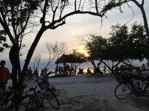 旅馆周边自然景观