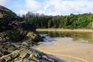 a beach with a body of water and trees at Althea House with parking in Padstow