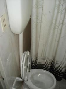 a small bathroom with a toilet and a shower curtain at Hotel Danaly in Salto