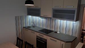 a kitchen with a sink and a counter top at Kuća BADNJAR Guča in Guča