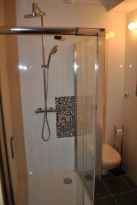a shower with a glass door in a bathroom at "Maison Schott" Studio in Nancy