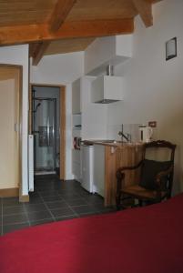 een woonkamer met een keuken en een rood tapijt bij "Maison Schott" Studio in Nancy