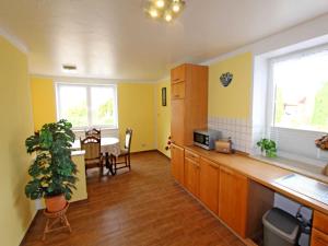 a kitchen with yellow walls and a table with a plant at Ferienhaus mit 3 Schlafraeumen Vor in Woldegk