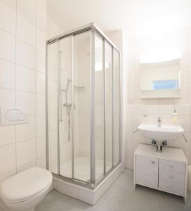La salle de bains est pourvue d'une douche, de toilettes et d'un lavabo. dans l'établissement Haus Fortuna, à Loèche-les-Bains
