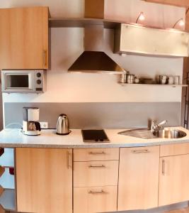 cocina pequeña con fregadero y fogones en Apartment Johanna, en Radolfzell am Bodensee