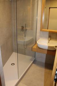 a bathroom with a shower and a sink at Hotel Albis in Vrchlabí