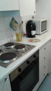 een keuken met een fornuis en een magnetron bij Terrazza Giraldi in Florence