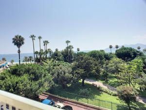 uma vista para um parque com palmeiras e o oceano em Cannes la Croisette, Baoli 4 beds, balcony,parking em Cannes