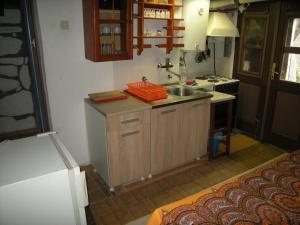 Kuchyň nebo kuchyňský kout v ubytování Apartment Cerova Kosa