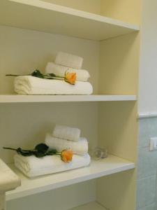 a bathroom shelves with towels and flowers on them at Appartamento URANIA - LE MUSE in Pietrasanta